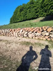Lemne de foc esenta tare 