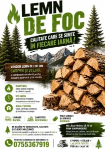 Lemne de foc esenta tare