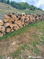 Lemne de foc esenta tare