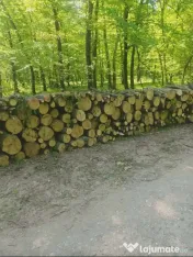Lemne de foc esenta tare