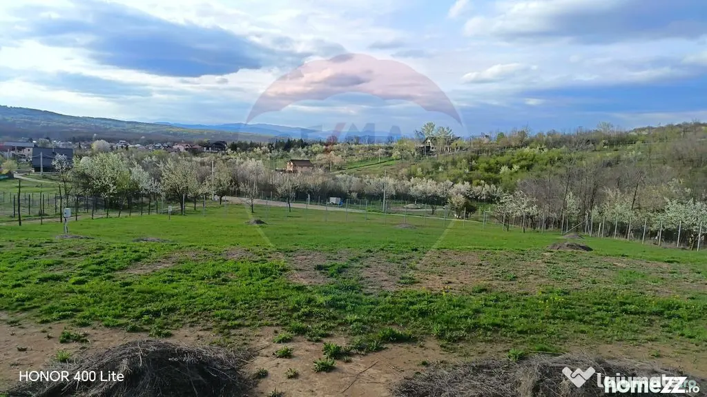 Teren pentru dezvoltare premium lângă pădure | 2854 mp