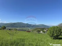 Teren Bistrita / Plopusor
