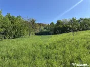 Teren Bistrita / Plopusor