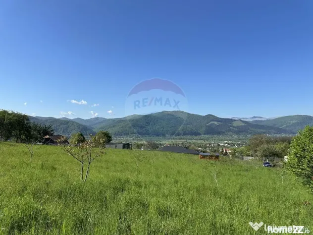 Teren Bistrita / Plopusor