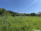 Teren Bistrita / Plopusor 