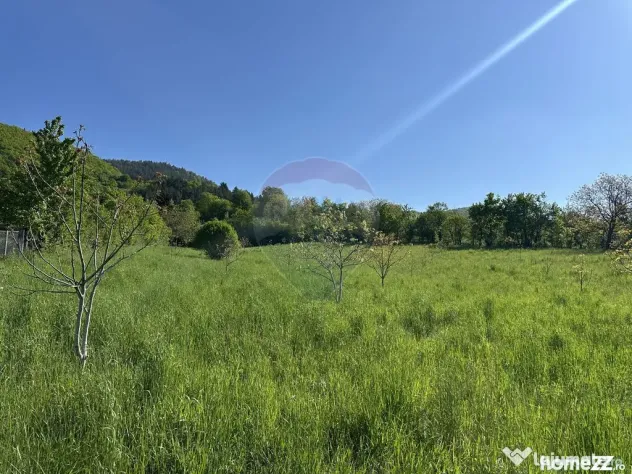 Teren Bistrita / Plopusor