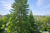 Apartament cu potential,areal verde, panorama,terasa,zona A, 
