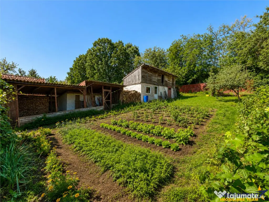 Casa primitoare in decor valoros, rodnic teren de 850mp, Ili