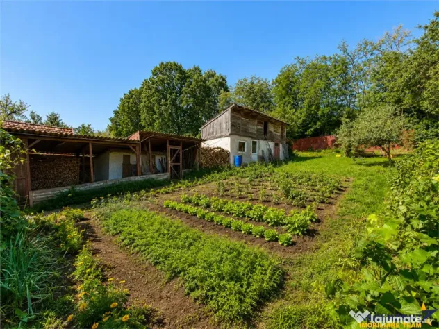 Casa primitoare in decor valoros, rodnic teren de 850mp, Ili