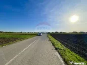Teren Intravilan 6.220 mp | Strejnicu, Strada Livezilor 