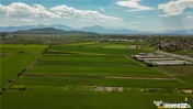 FILM! Teren extravilan 5.000 mp in zona linistita cu acces f 