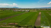 FILM! Teren extravilan 5.000 mp in zona linistita cu acces f 
