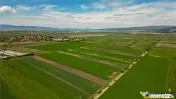 FILM! Teren extravilan 5.000 mp in zona linistita cu acces f 
