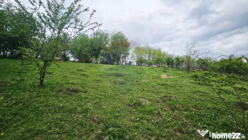 Teren 5,350mp Dobreni / Strada Manastirea Horaita - Dobreni (Neamt)