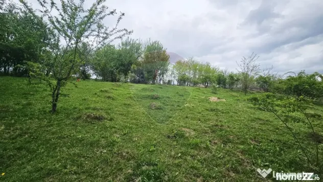 Teren 5,350mp Dobreni / Strada Manastirea Horaita - Dobreni (Neamt)