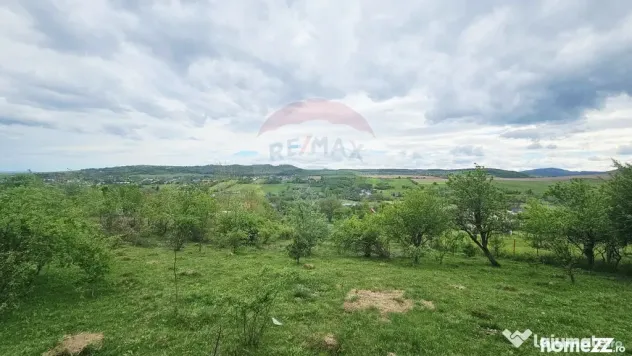 Teren 5,350mp Dobreni / Strada Manastirea Horaita - Dobreni (Neamt)