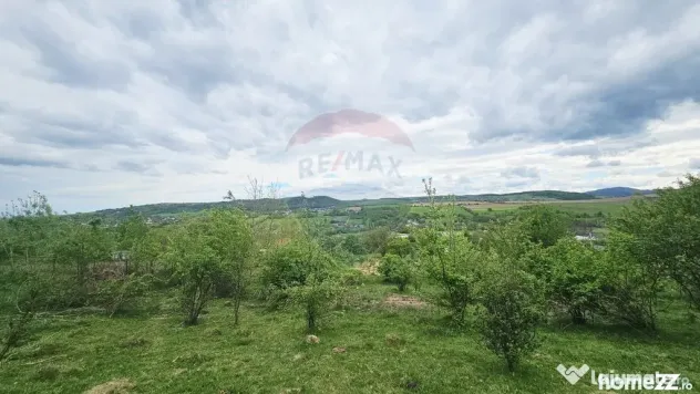 Teren 5,350mp Dobreni / Strada Manastirea Horaita - Dobreni (Neamt)