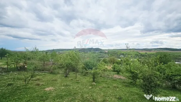 Teren 5,350mp Dobreni / Strada Manastirea Horaita - Dobreni (Neamt)
