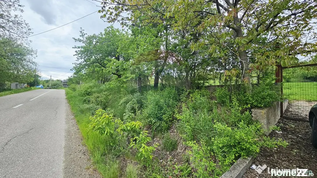 Teren 5,350mp Dobreni / Strada Manastirea Horaita - Dobreni (Neamt)