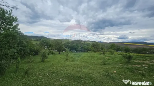 Teren 5,350mp Dobreni / Strada Manastirea Horaita - Dobreni (Neamt)