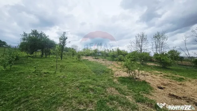 Teren 5,350mp Dobreni / Strada Manastirea Horaita - Dobreni (Neamt)