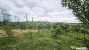 Teren 5,350mp Dobreni / Strada Manastirea Horaita