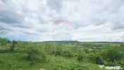 Teren 5,350mp Dobreni / Strada Manastirea Horaita 
