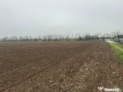 Teren intravilan de vanzare in 23 August - Olimp │ 600mp 