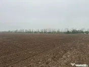 Teren intravilan de vanzare in 23 August - Olimp │ 600mp 