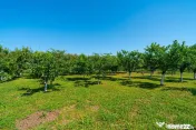 REZERVAT -Casă spațioasă cu teren generos în Felnac ?...