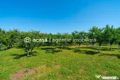 Casă spațioasă cu teren generos în Felnac – la 18 k... 