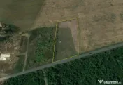 BALOTESTI - EDENLAND - ideal investitie - Teren 5.254 mp,... 
