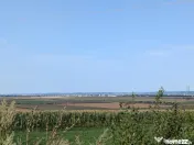 Sărata- lângă Mun. Bacău- 4000 mp- oportunitate investi? 