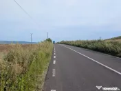 Sărata- lângă Mun. Bacău- 4000 mp- oportunitate investi? 