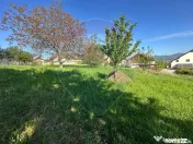 PARCELA TEREN INTRAVILAN - strada Mihai Eminescu 