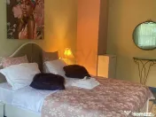 Vila 6 Camere I De Inchiriat I Victoriei I Dacia 