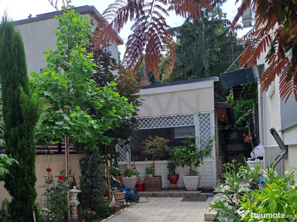 Vila Vatra Luminoasa 5 Camere