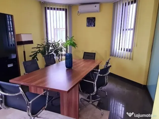 Vila Baneasa - Spatiu Birouri
