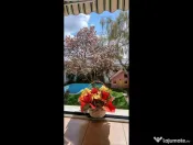 Vila cu piscina I Expozitiei 
