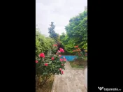 Vila cu piscina I Expozitiei 