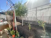 Casa de Polona l Curte 
