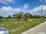 Teren ușor accesibil pentru casă la asfalt cu utilități
