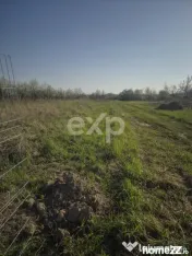 De vanzare teren la munte , in Rucar , zona Iezer Papusa, Ar 