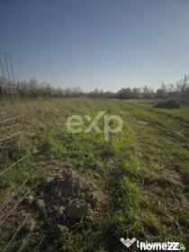 De vanzare teren la munte , in Rucar , zona Iezer Papusa, Ar
