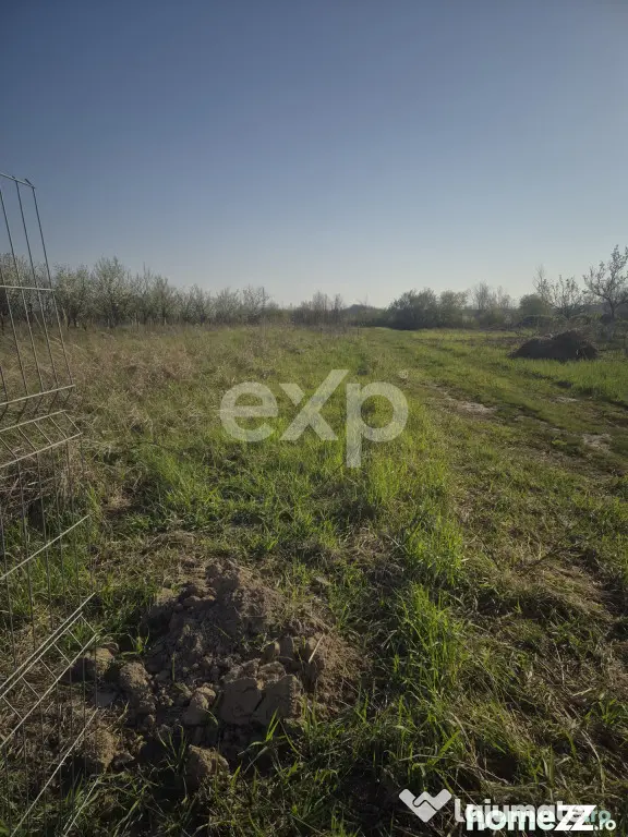 De vanzare teren la munte , in Rucar , zona Iezer Papusa, Ar