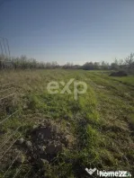 De vanzare teren la munte , in Rucar , zona Iezer Papusa, Ar