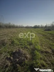 De vanzare teren la munte , in Rucar , zona Iezer Papusa, Ar