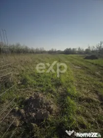 De vanzare teren la munte , in Rucar , zona Iezer Papusa, Ar