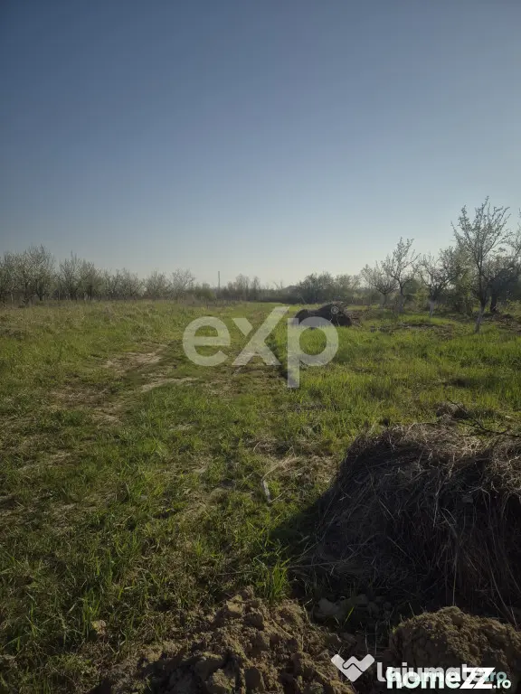 De vanzare teren la munte , in Rucar , zona Iezer Papusa, Ar