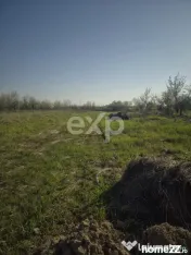 De vanzare teren la munte , in Rucar , zona Iezer Papusa, Ar